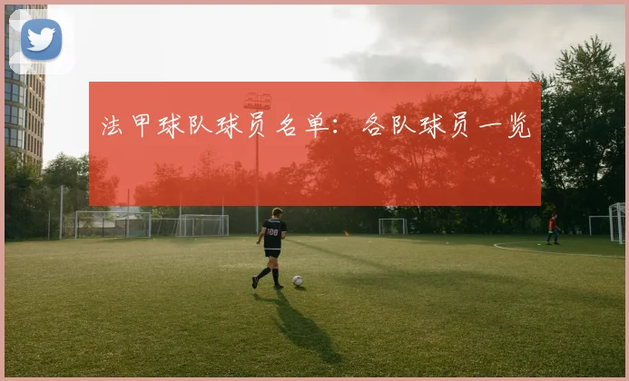 法甲球队球员名单：各队球员一览