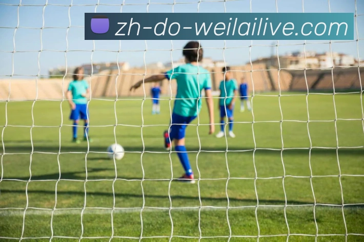 App Interface Preview